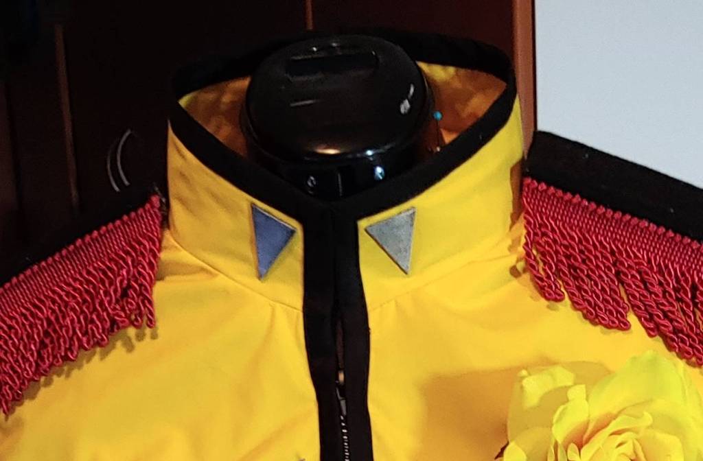 Collar stiffened with interfacing. It would not stand up by itself otherwise