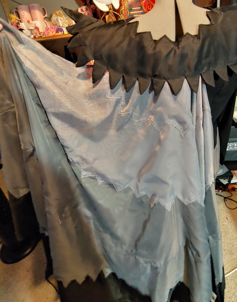 Wings attached to a black collar, held out to the side to show the spread and range of movement.