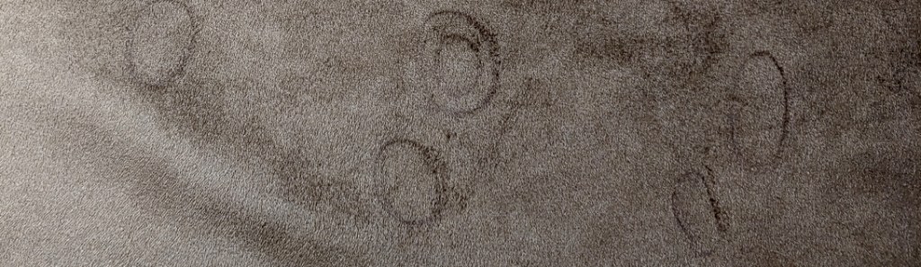 Spots sketched out in pen.