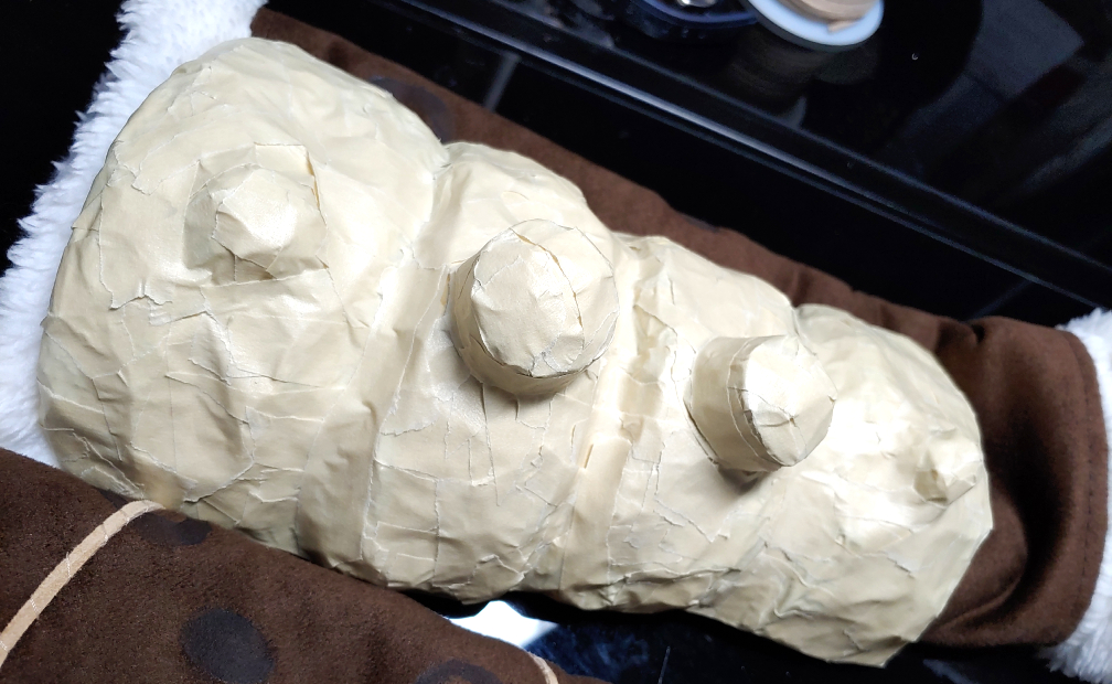 Vertebrae completely taped and sitting on the suede gauntlet