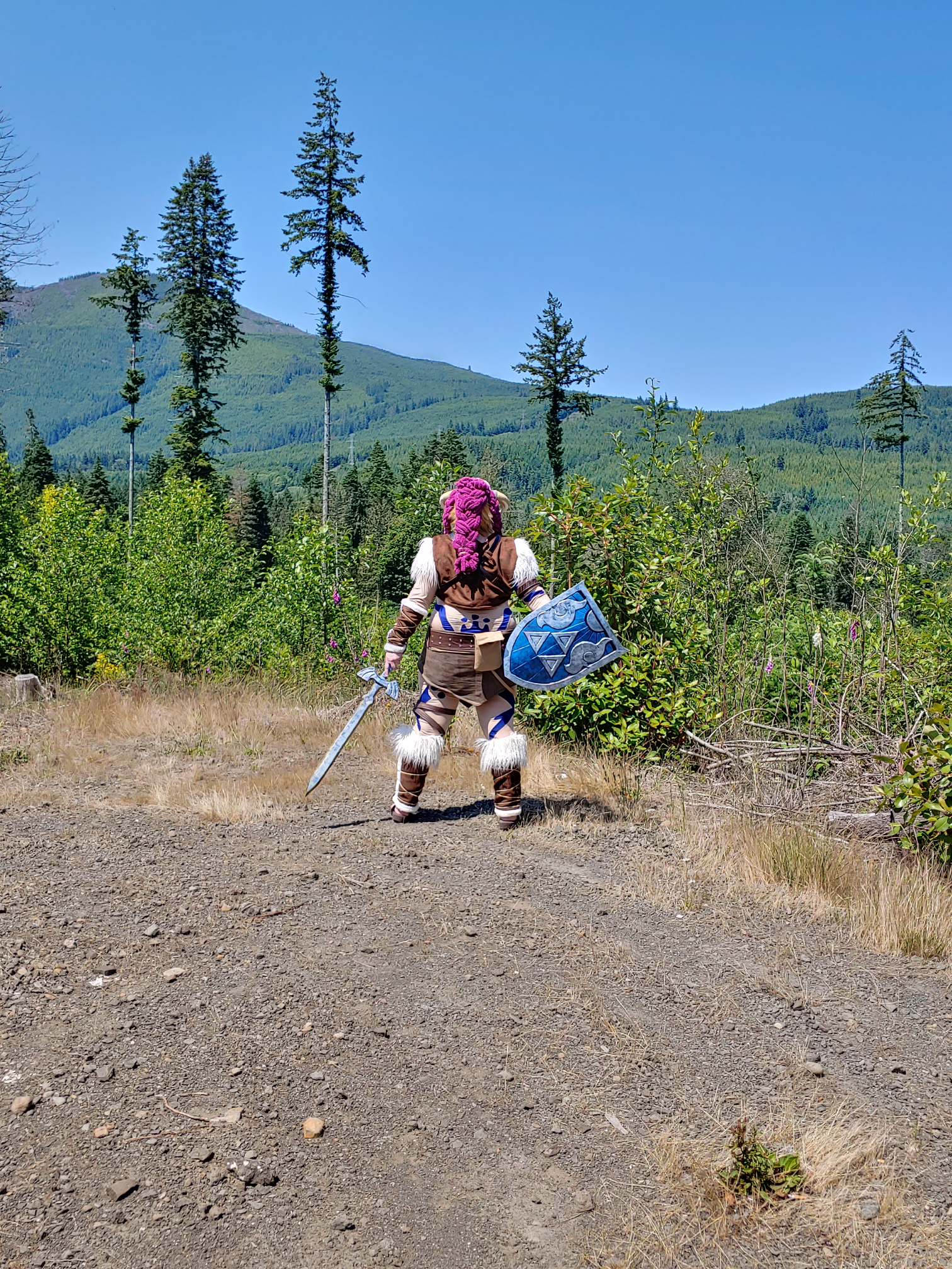 Link from the back, looking over rolling mountains of a valley.