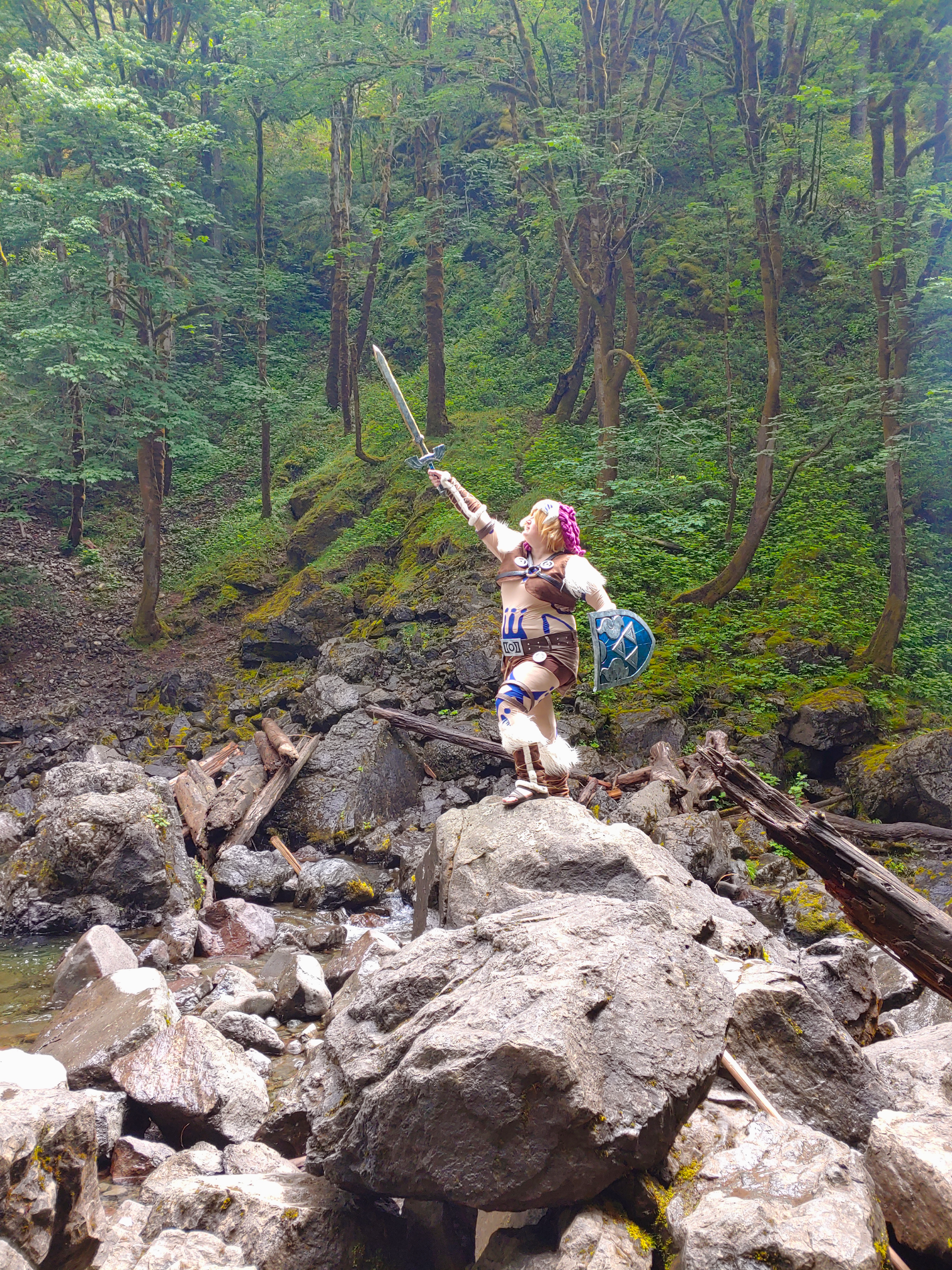 Link standing on a pile of rocks, pointing the sword up in a dense forest