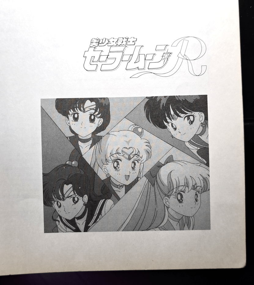 Grayscale artwork with the title "Sailor Moon R" on top. Bottom is a grayscale version of the guardians in angular sections that's featured throughout the book.